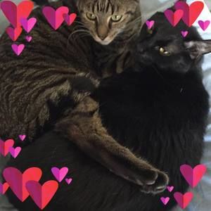 Meet your Posher, Stephen